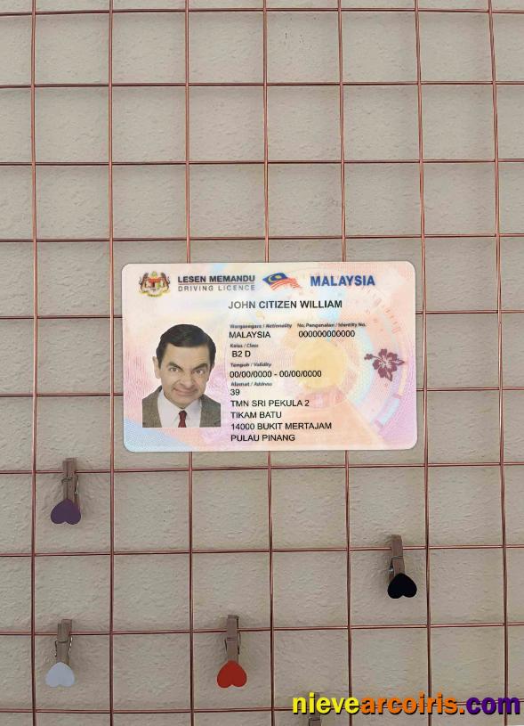 Malaysia driving license photolook